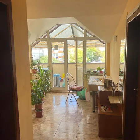 招待所 Pensiunea Nicolas *