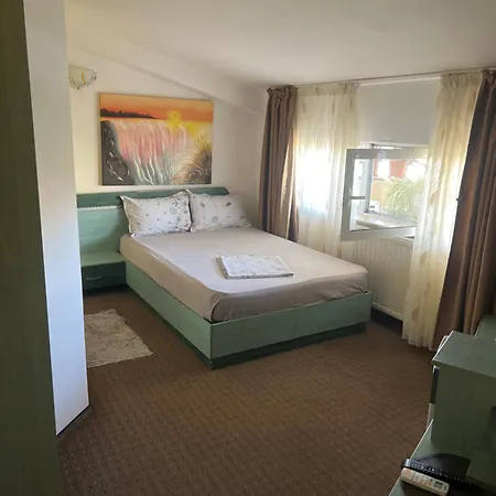 招待所 Pensiunea Nicolas