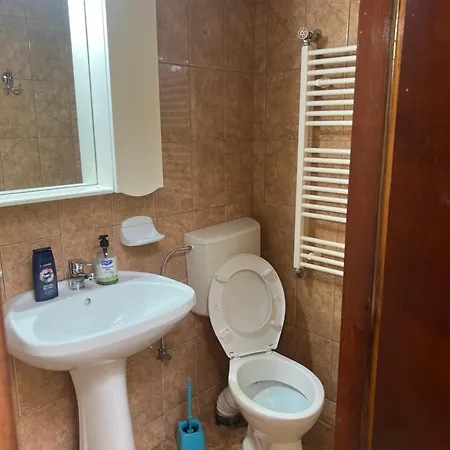 招待所 Pensiunea Nicolas *