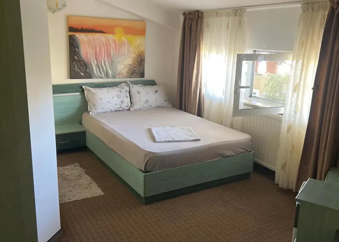 Pensjonat Pensiunea Nicolas