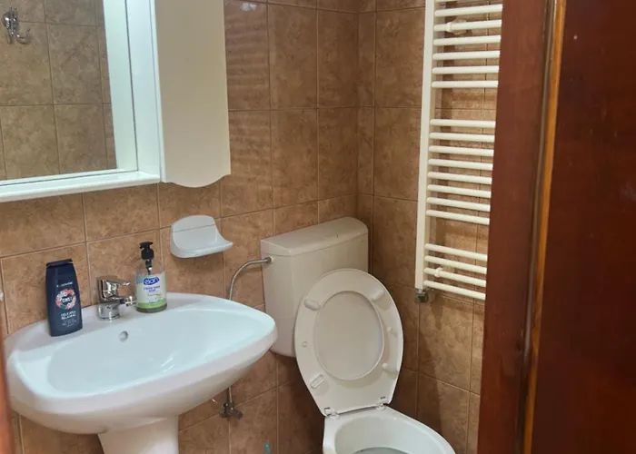 Pensjonat Pensiunea Nicolas *